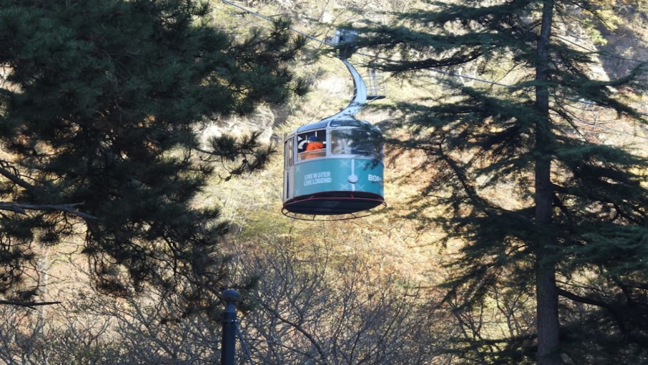 Joseph Stalin Museum, Gori, Borjomi Central Park, Bakuriani pine forests