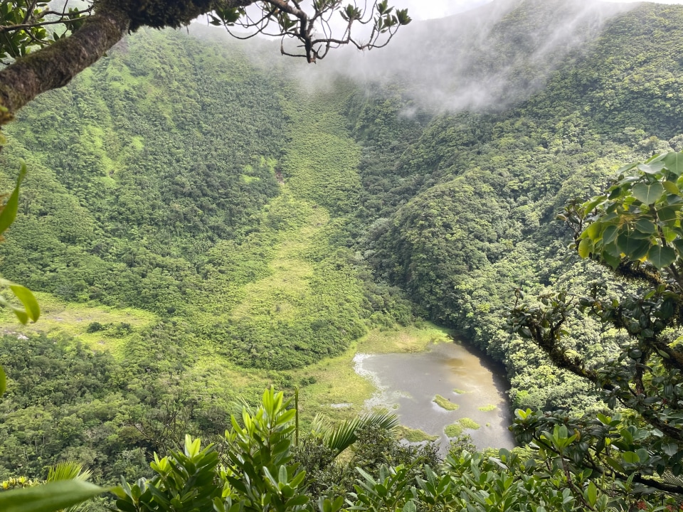 Mount Liamuiga crater, Newton Ground forest trail, views to St. Eustatius and St. Martin
