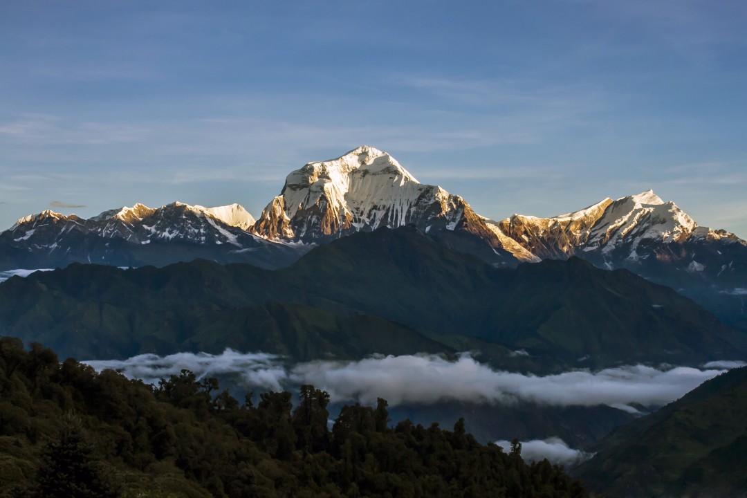 Poon Hill sunrise, rhododendron forests of Ghorepani, Machhapuchhare and Annapurna peaks