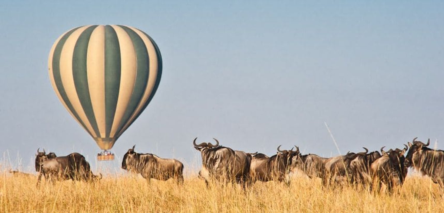 Masai Mara, Mara Triangle, Lake Nakuru National Park, Lake Naivasha