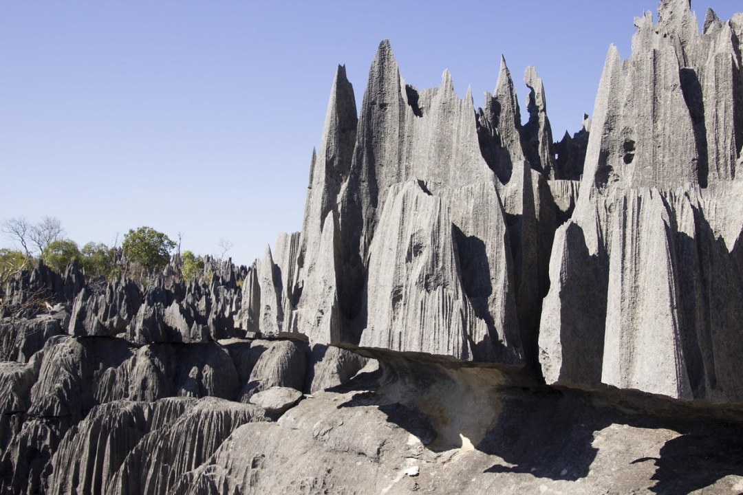 Avenue of the Baobabs, Manambolo River cliffs, Big and Little Tsingy