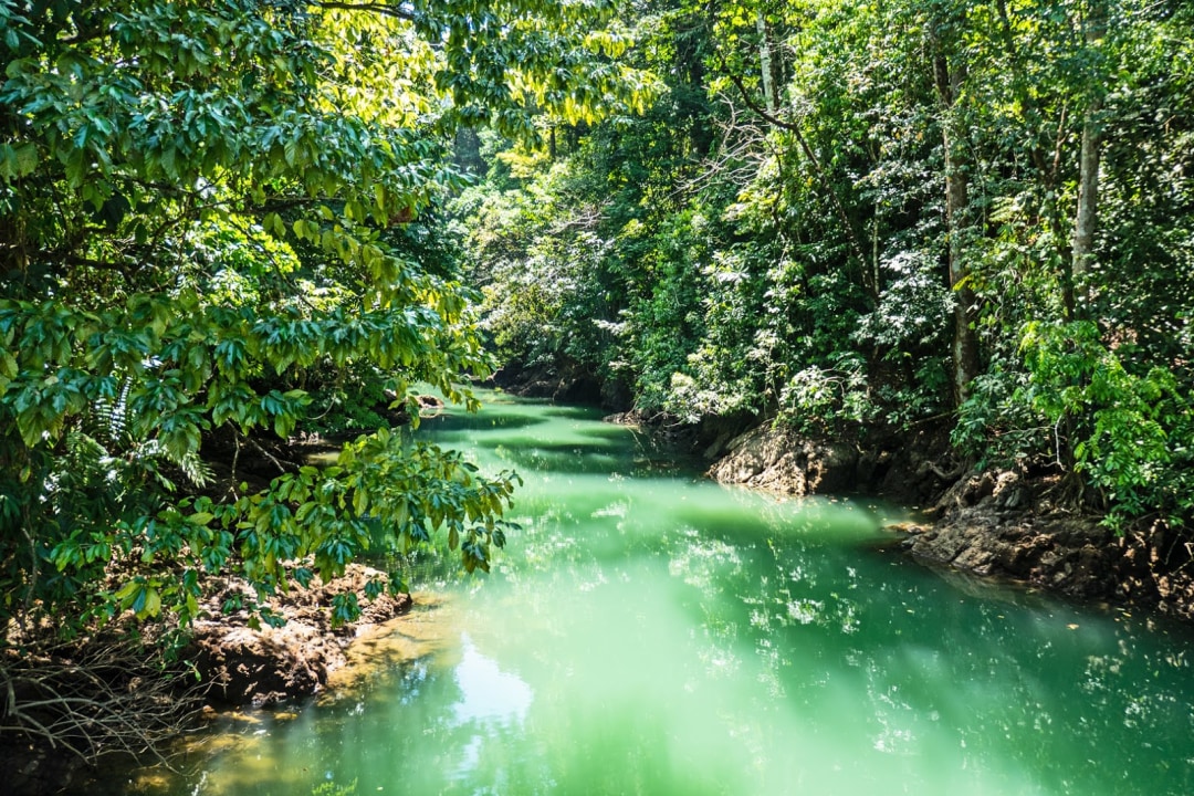 Rio Agujitas, Rio Agujitas Eco Farm, family-farm trails, Cahuita
