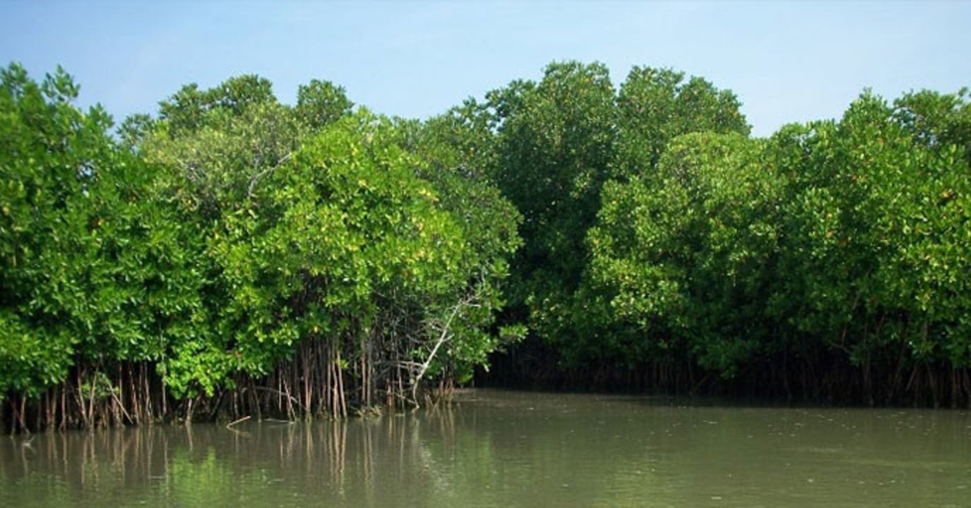 Sundarbans mangroves, Badamtala beach, National Parliament Building