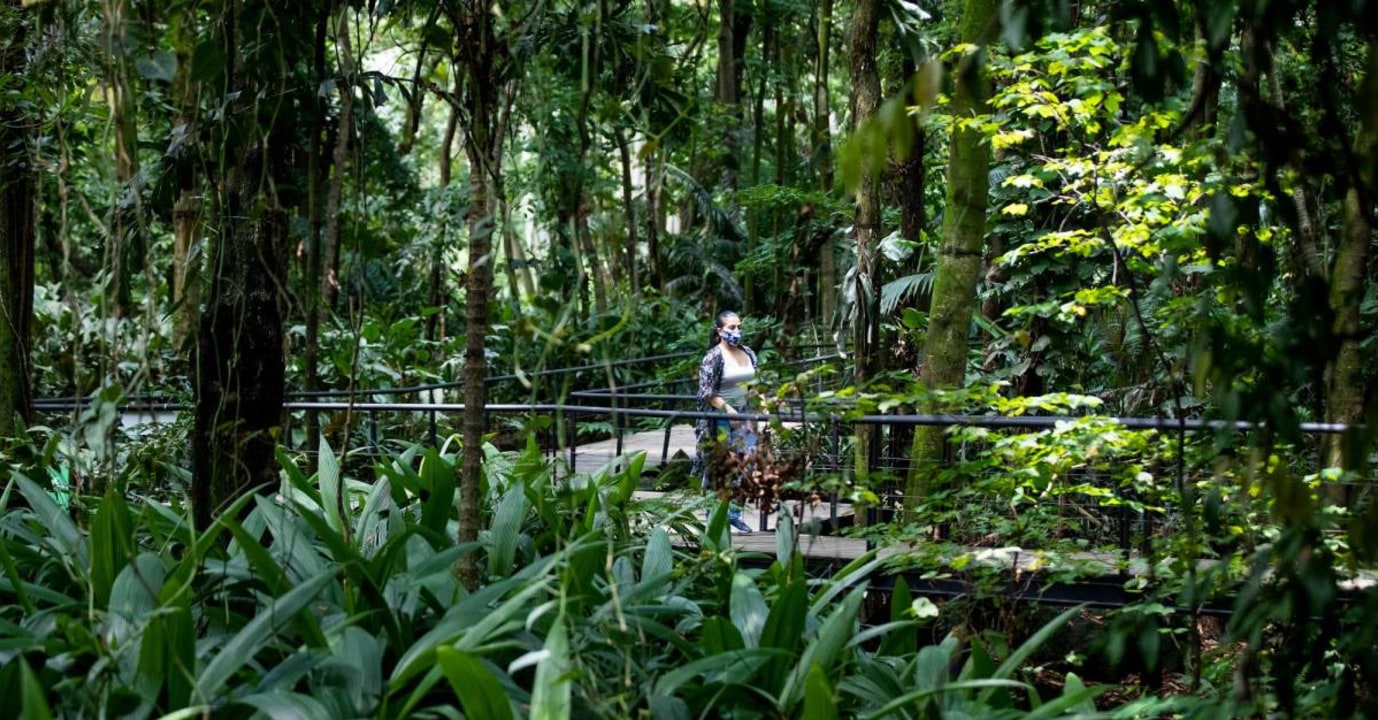 Botanical Garden lake with birds and turtles, Parque Explora aquarium, Parque Norte amusement park