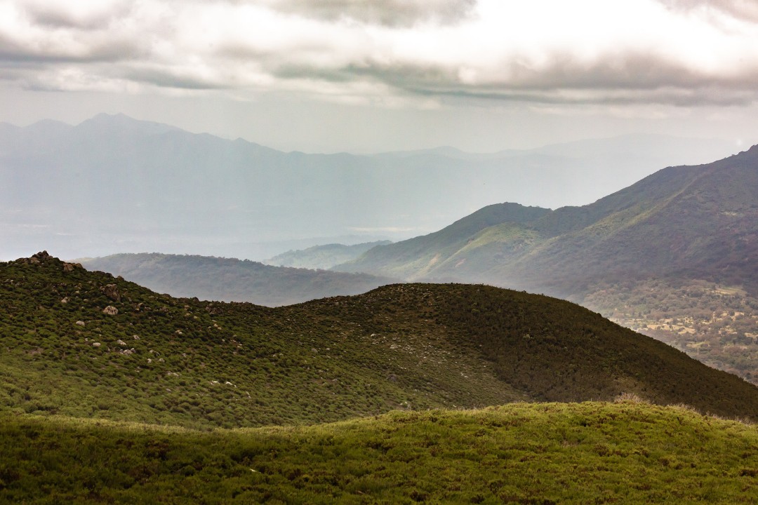 Simien Mountains, rock-hewn churches of Lalibela, Lake Tana, Blue Nile Falls