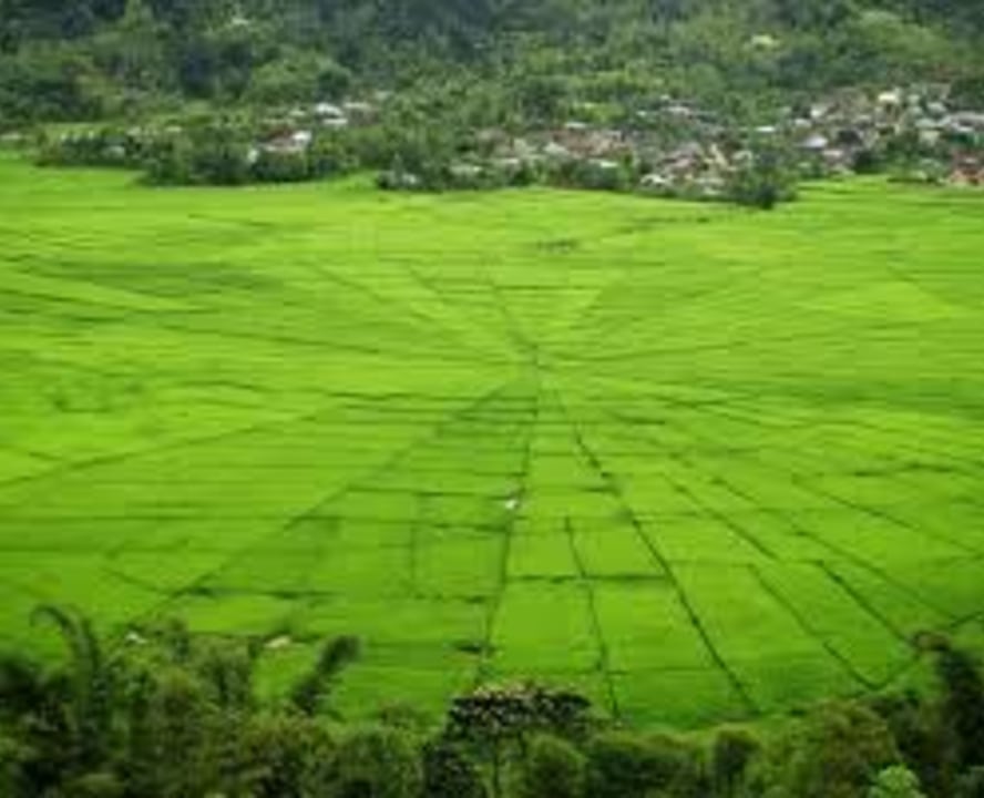 Kelimutu's three crater lakes, Ruteng rice terraces, Cancar's spider-web rice fields, Blue Stone Beach
