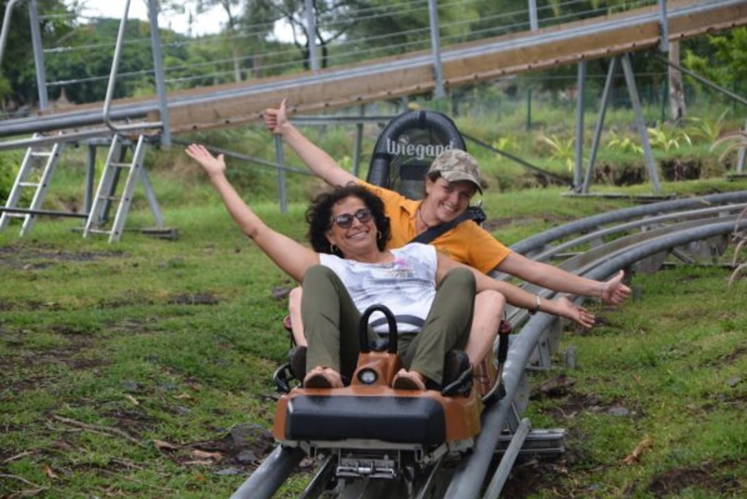 Casela World of Adventures, Big Cats Kingdom, Camel Viewing and ride, Photo Safari Bus Trip