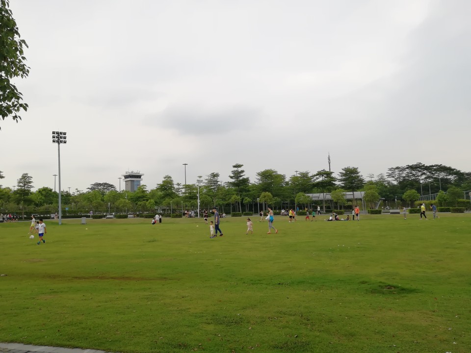 Shenzhen Bay Beach Park, Mangrove Forest Park, Shenzhen Bay Bridge