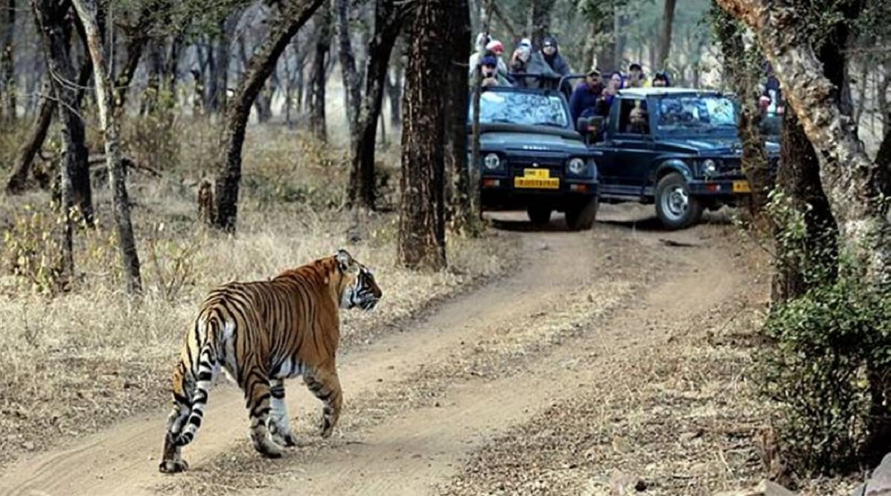 Mahanadi River gorge, Satkosia Tiger Reserve forests, Baisipalli Wildlife Sanctuary