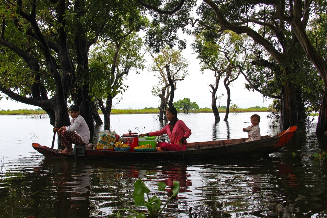 Tonle Sap Lake, mangrove forests, incredible stilt village