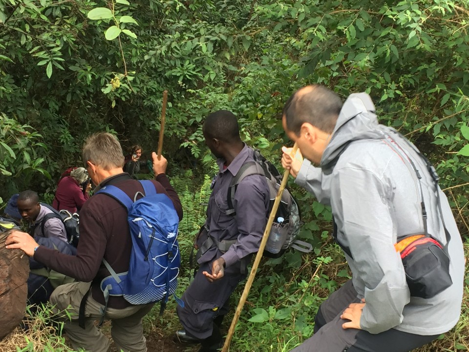 Bwindi Impenetrable National Park, Equator photo stop, Mbarara countryside