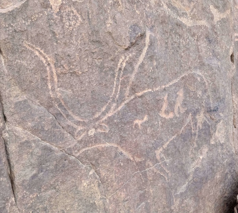 Tin Merzouga dunes, Tigharghart rock engravings, Esseti rocky valleys, Djanet desert gateway