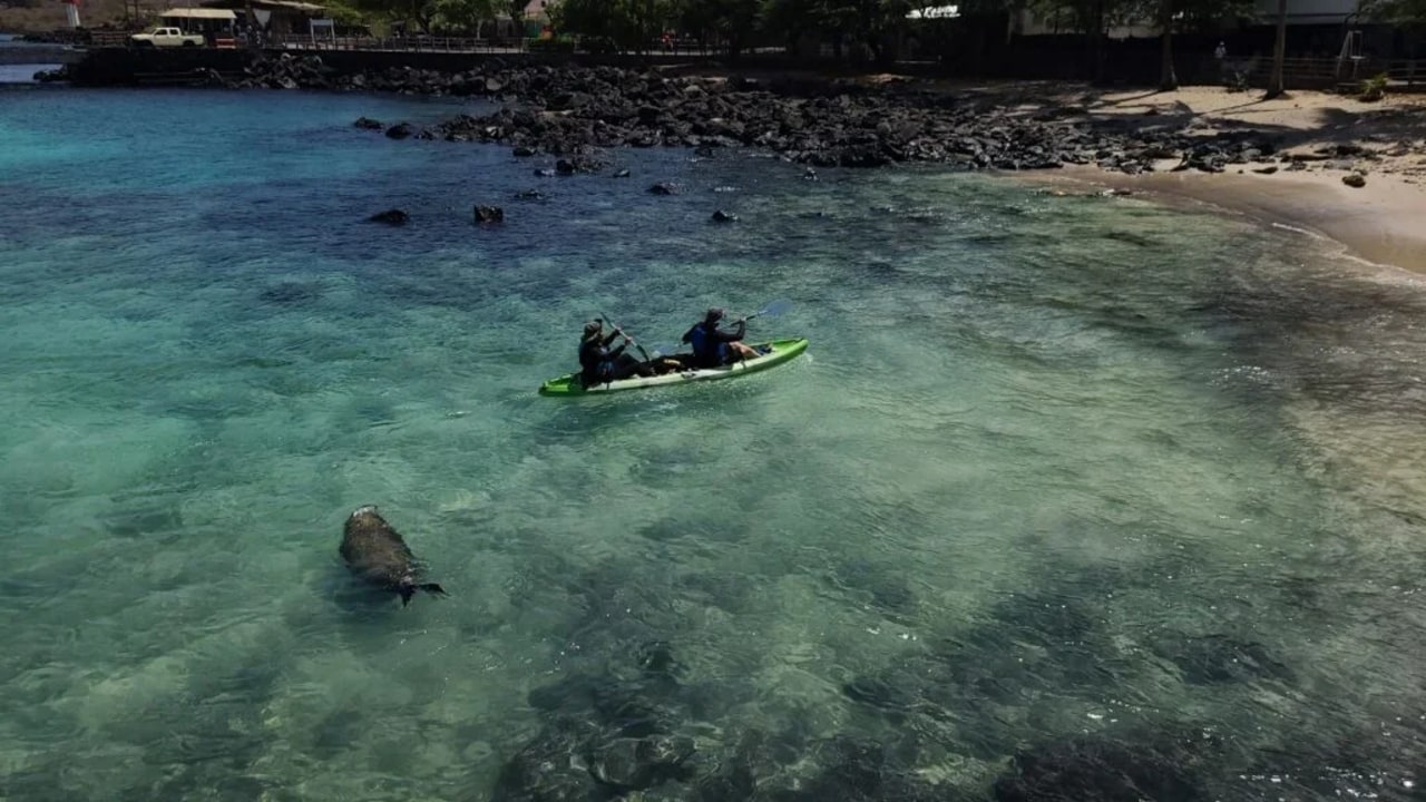 Sierra Negra caldera, El Junco, Isla Tortuga turquoise waters