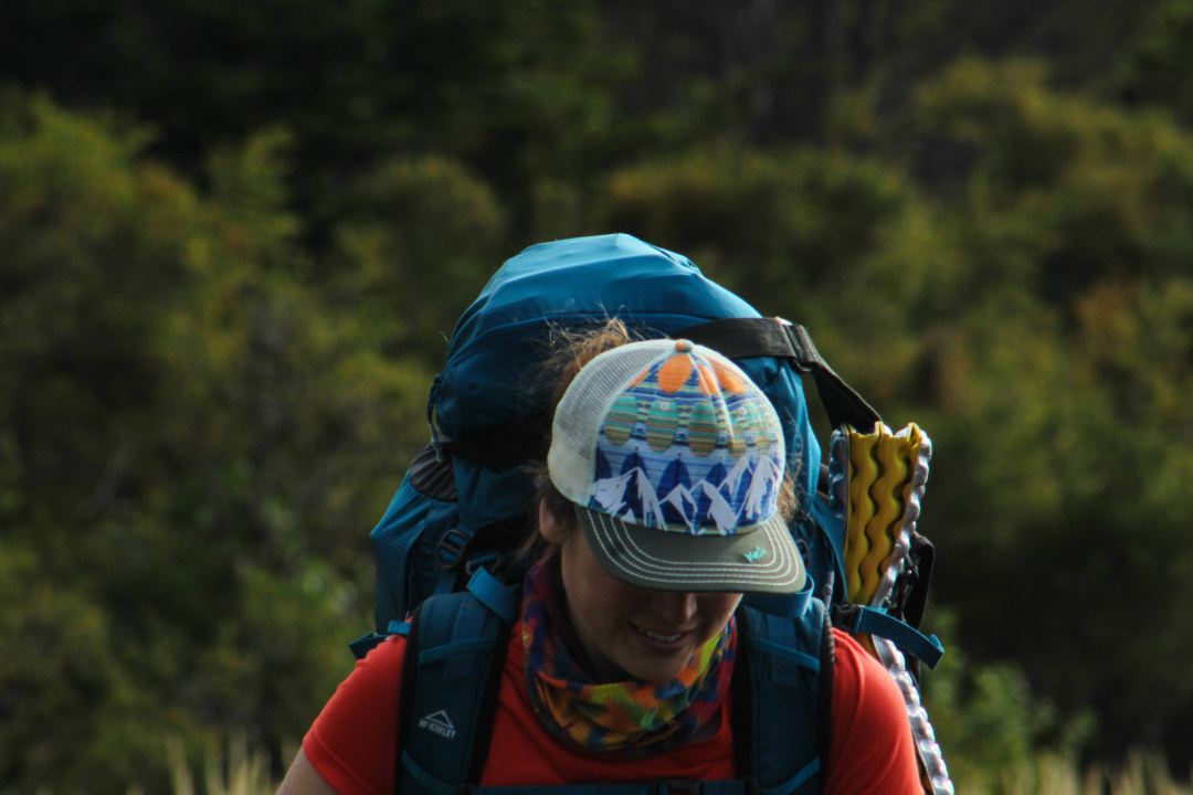 Patagonian forest, Cape Froward, Punta Arenas