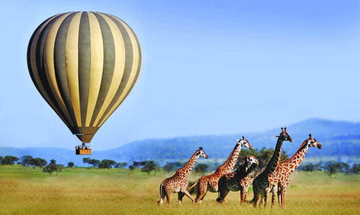 Serengeti National Park plains, Ngorongoro Crater caldera, Zanzibar shores