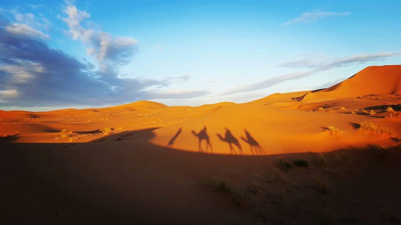 Tizi n'Tichka pass, Aït Ben Haddou Kasbah, Oasis of Skoura, Merzouga dunes