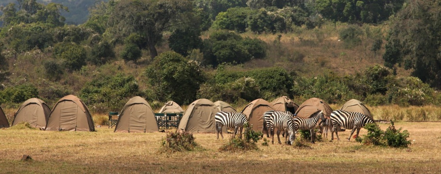 Tarangire National Park, Serengeti National Park, Ngorongoro Crater