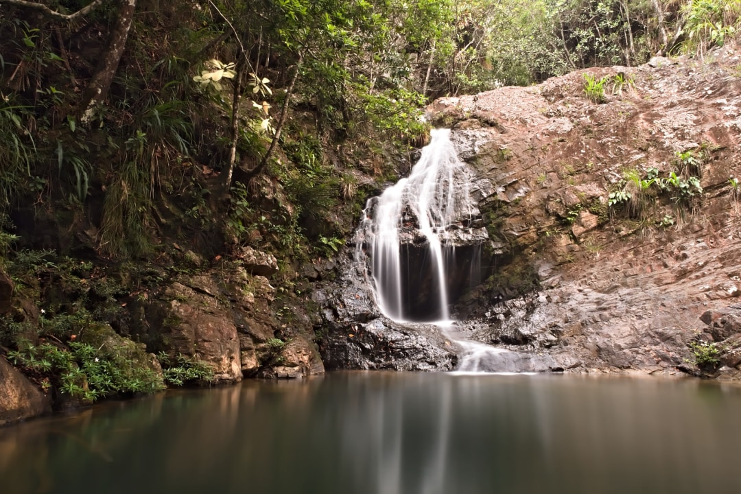lush, tropical rainforest, Caves Branch, Caves Branch River, Tourism Village