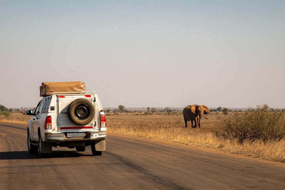 escarpment of the Great Rift Valley, Masai Mara savannah, Narok town