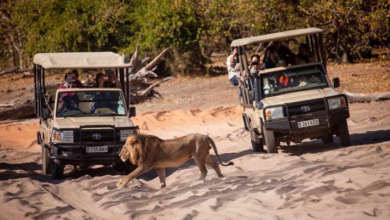 Zambezi River sunset cruises, Victoria Falls Rainforest, Chobe Riverfront wildlife