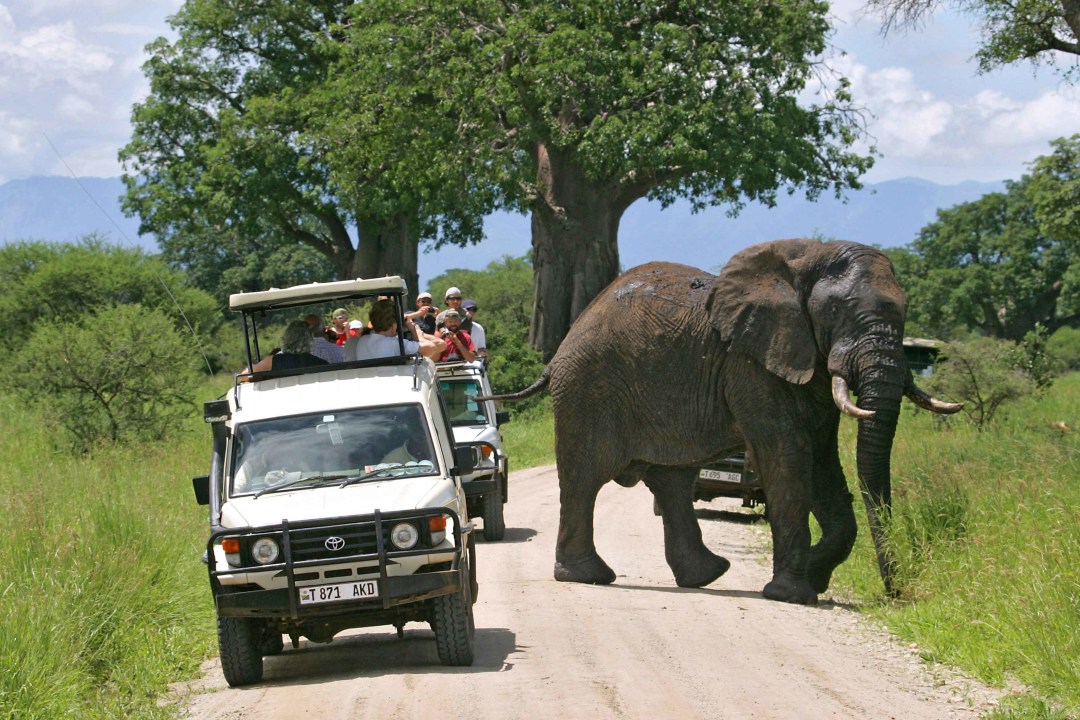Serengeti National Park, Olduvai Gorge, Ngorongoro Crater, Lake Eyasi