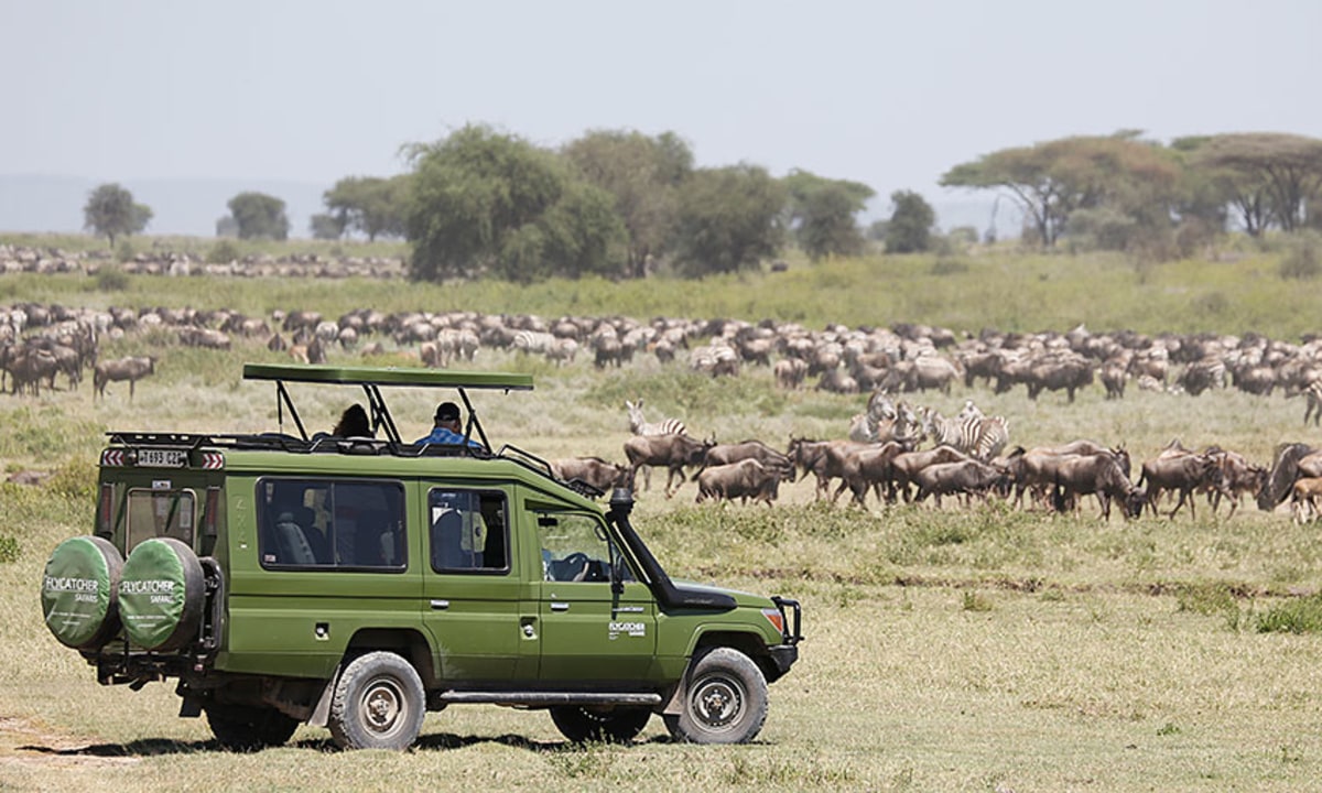 Tarangire National Park, Lake Manyara, Ngorongoro Crater