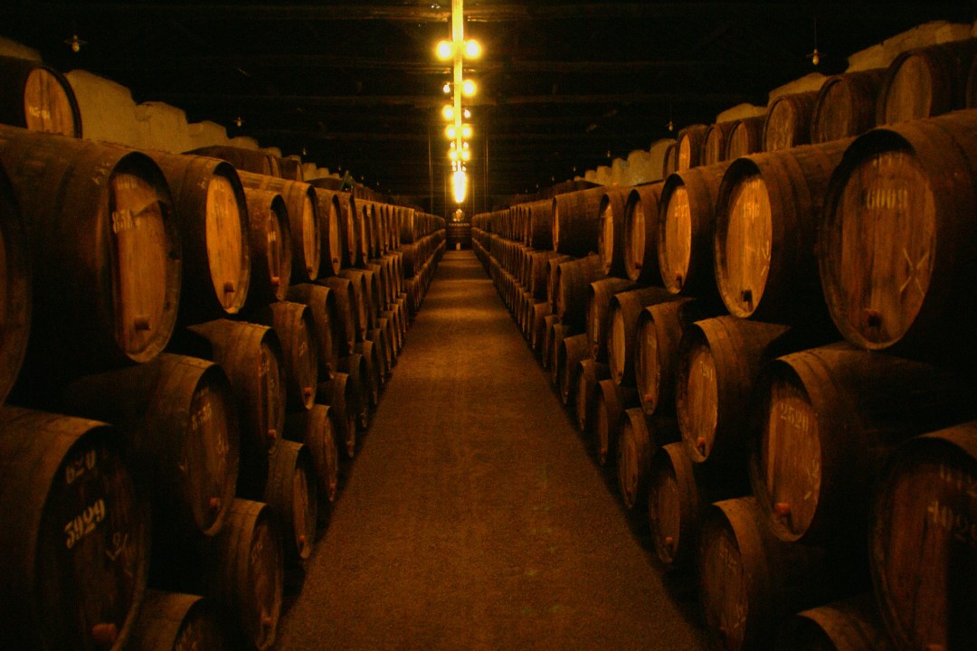 wine cellars in Porto, old houses and grand manor houses, right riverbank