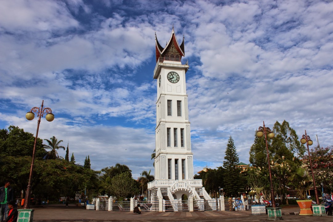 Lake Toba, Samosir Island, Bukitlawang jungle, Tangkahan elephant washing