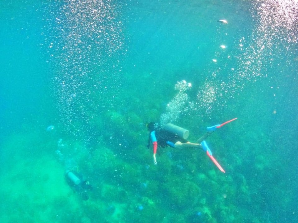Phú Quốc, pier, first dive site, harbor