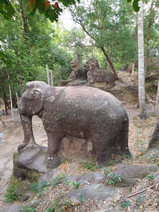 Kulen Mountain, River of a Thousand Lingas, Kompong Phluk flooded mangrove forest
