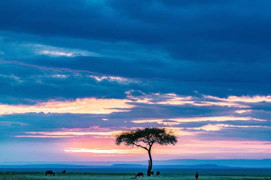 Tsavo West National Park, Mzima Springs, Kilaguni Serena Lodge