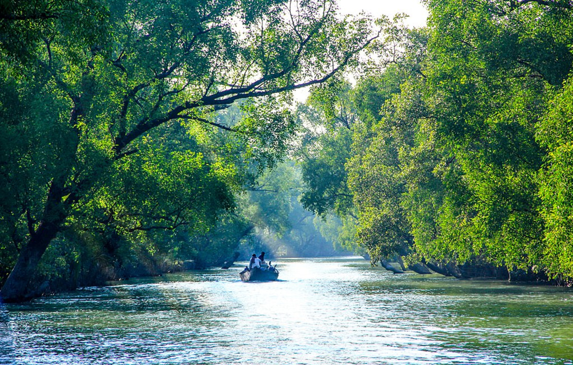 Kolkata, Sundarbans Reserve Forest, Royal Bengal tigers, Ganges and Irawadi dolphins