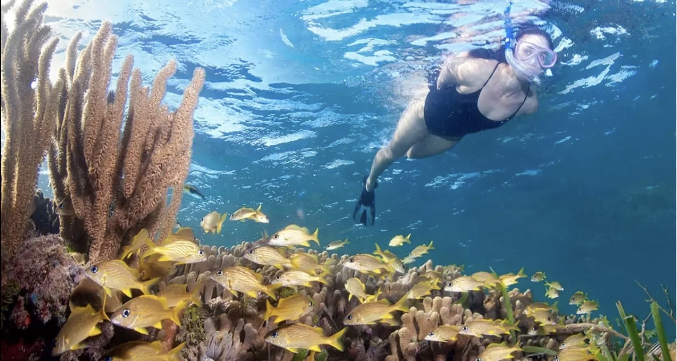 animal sanctuary, the second-largest coral reef in the world, West Bay Beach