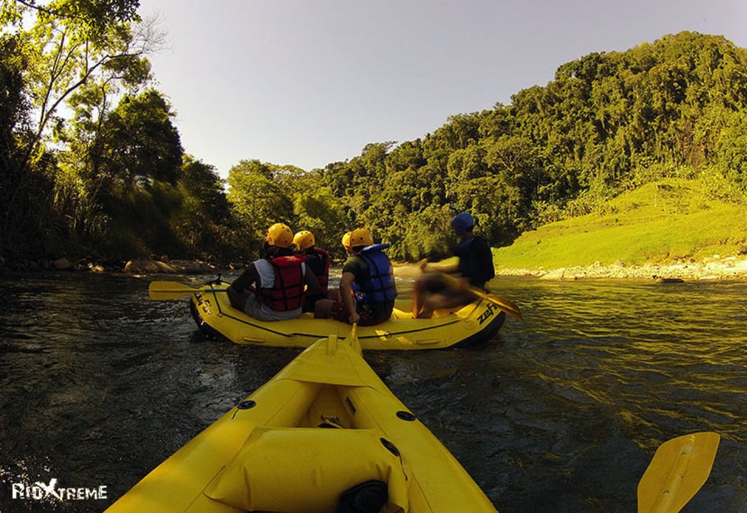 Atlantic Rainforest, Casimiro de Abreu, clear-water river
