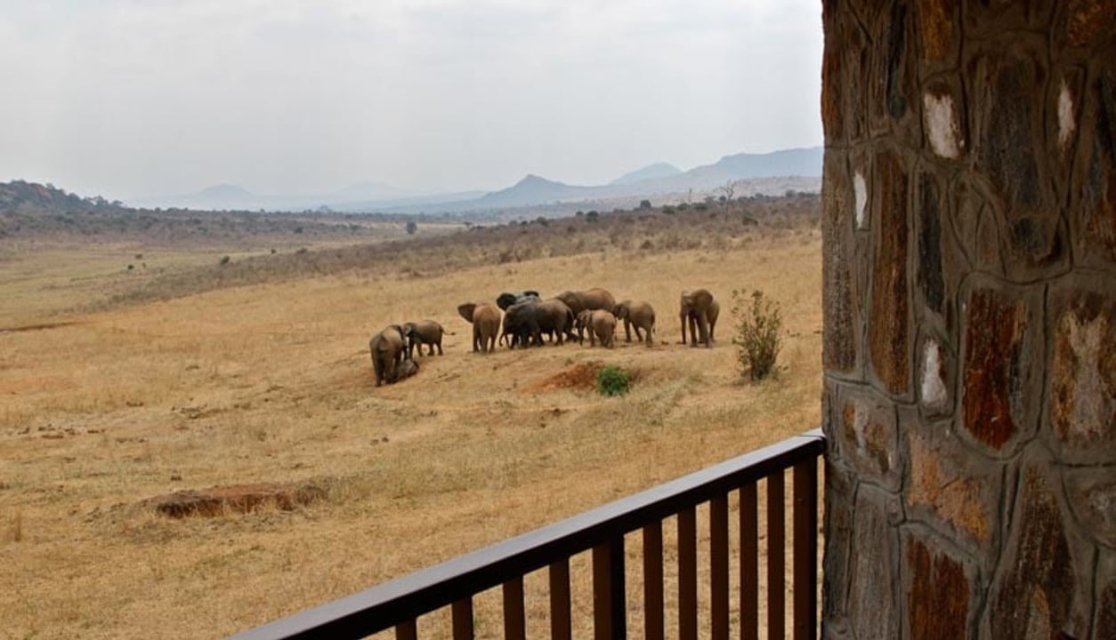 Masai Mara, Mara River, Great Rift Valley, snow-capped Mount Kilimanjaro