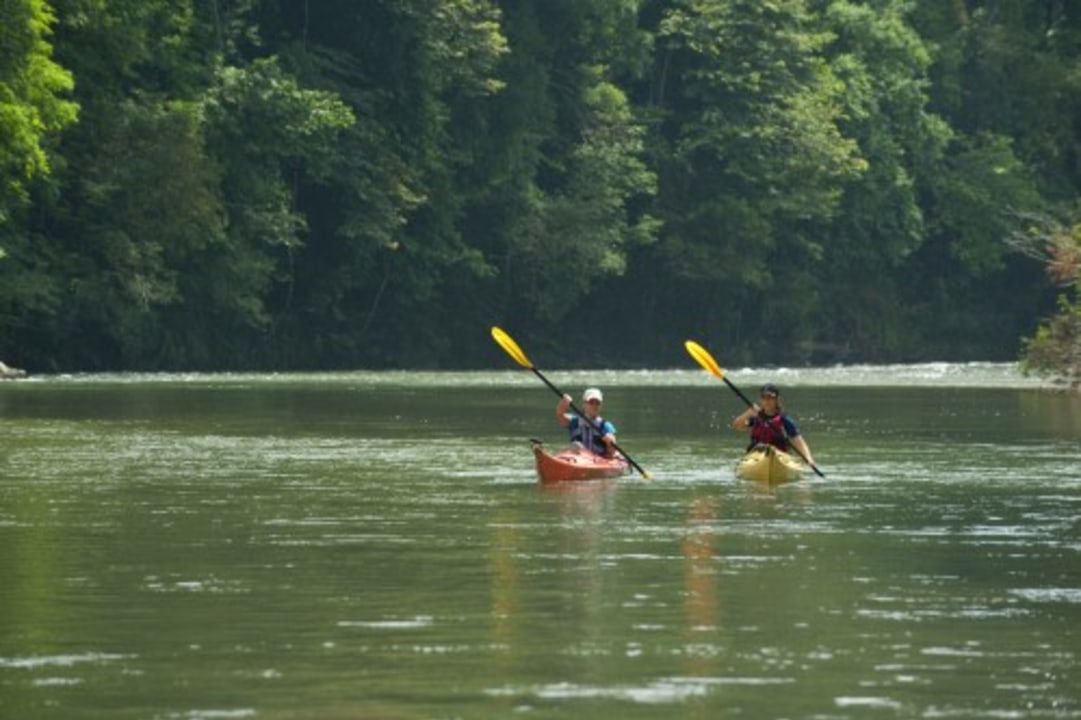 Monkey Island, hidden bays of Lake Gatun, Gamboa Rainforest Resort