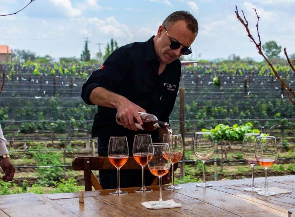 Aguascalientes City, scenic vineyards, orchards