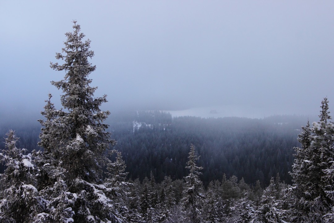 Finnish Taiga, Kuusamo, roads of the Finnish countryside, small huts