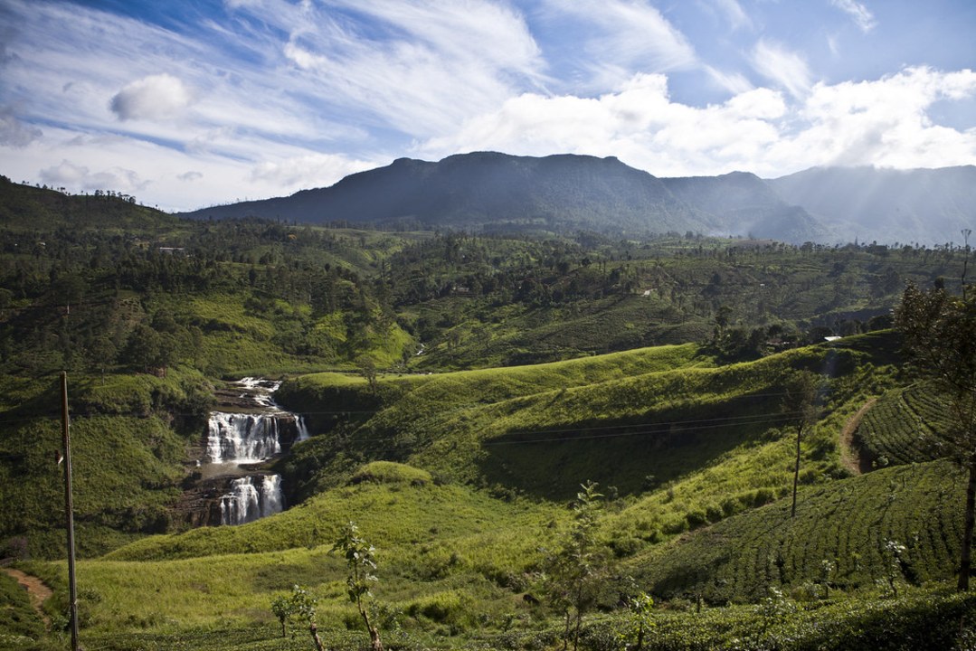 Nuwara Eliya tea gardens, Hakgala Botanical Gardens, Sigiriya Rock Fortress, Trincomalee beach