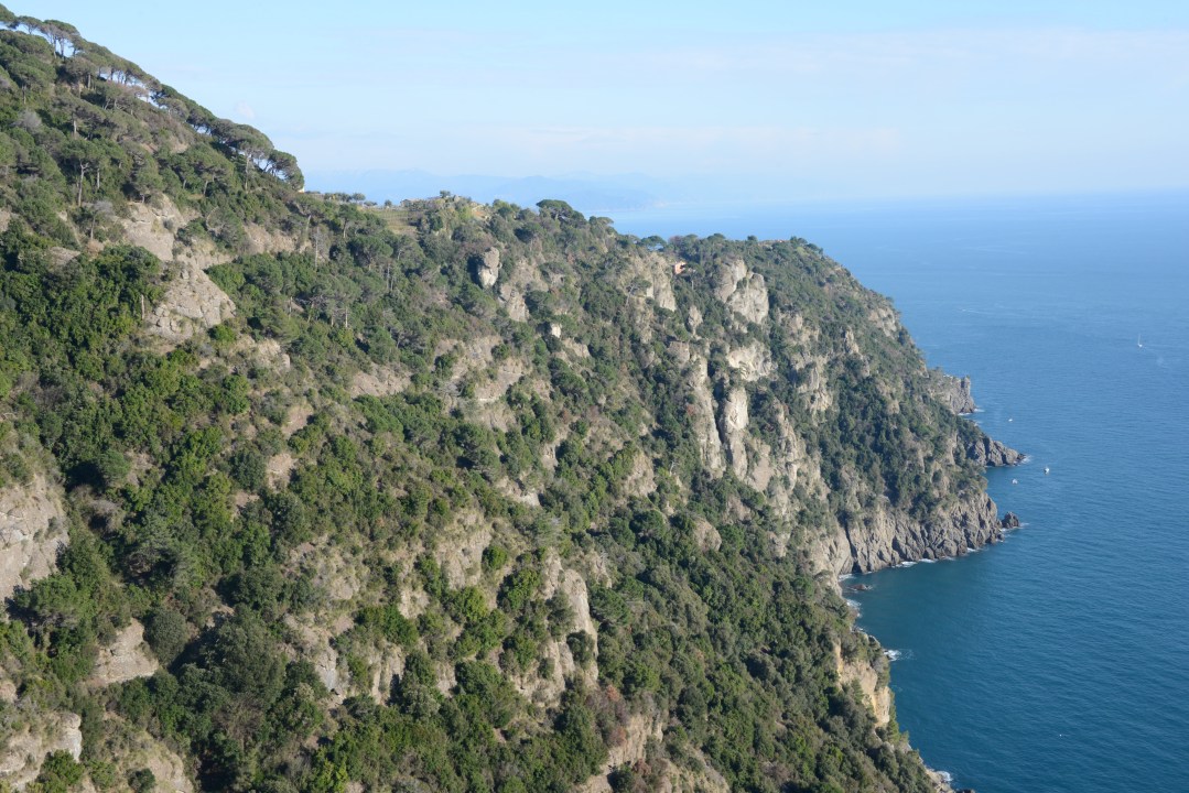 terraced olive groves, mountain ridge at Prato, dark Mediterranean oak forest, Abbey of San Fruttuoso