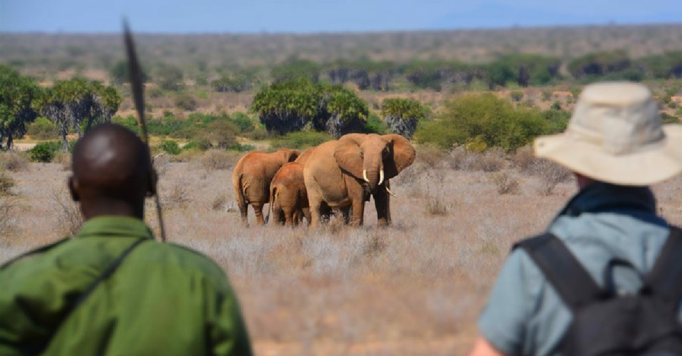 Kafue Riverfront, Busanga Plains, Lilayi Elephant Nursery