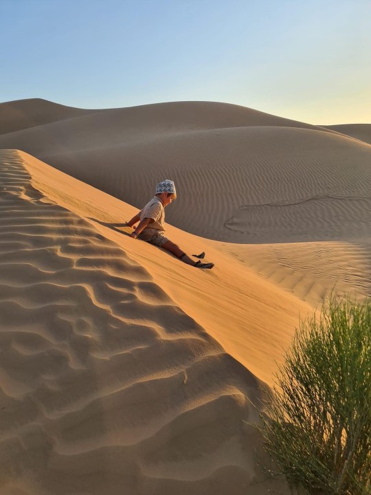 Wadi Dawkah frankincense trees, the lost city of Ubar, desert dunes at Salalah