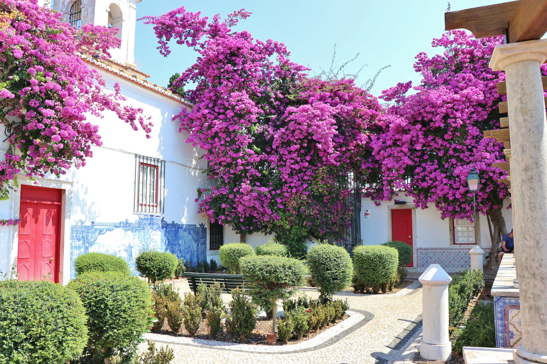 Alfama Neighbourhood, Castelo de São Jorge, Rua Augusta