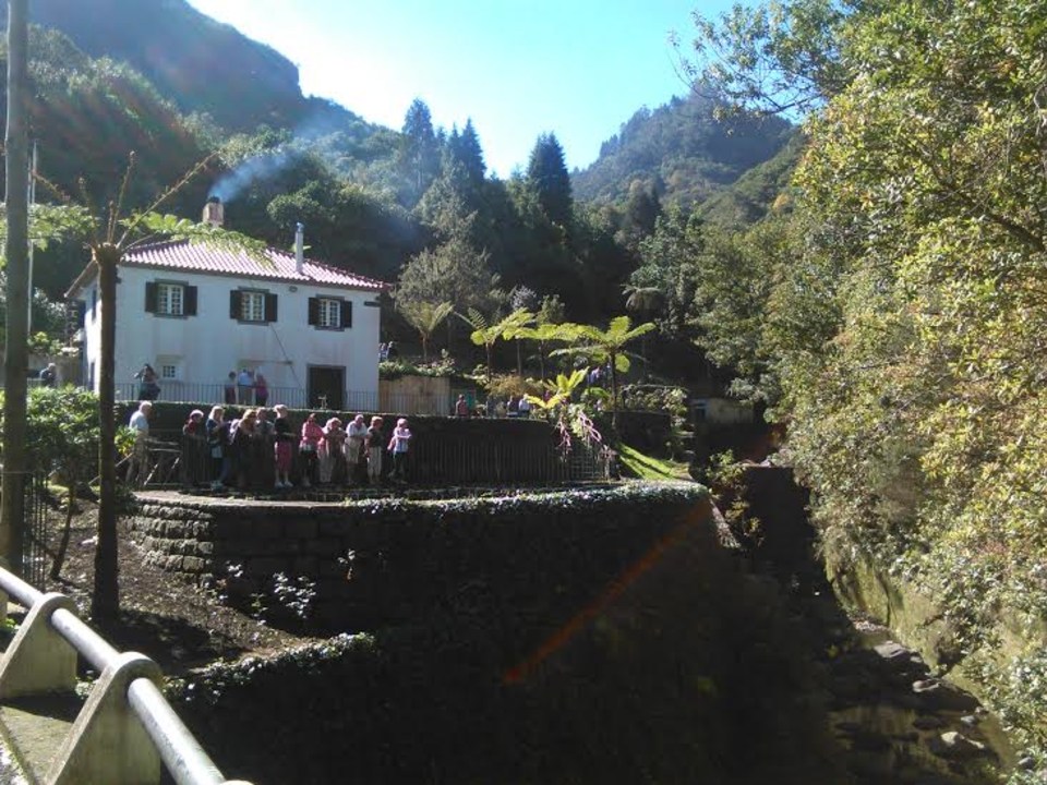 Laurel Forest, Madeira's great high peaks, traditional thatched houses
