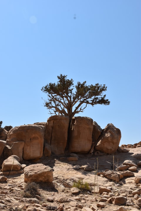 Dana Village plateaus, Wadi Araba, Siq Al Barid at Little Petra