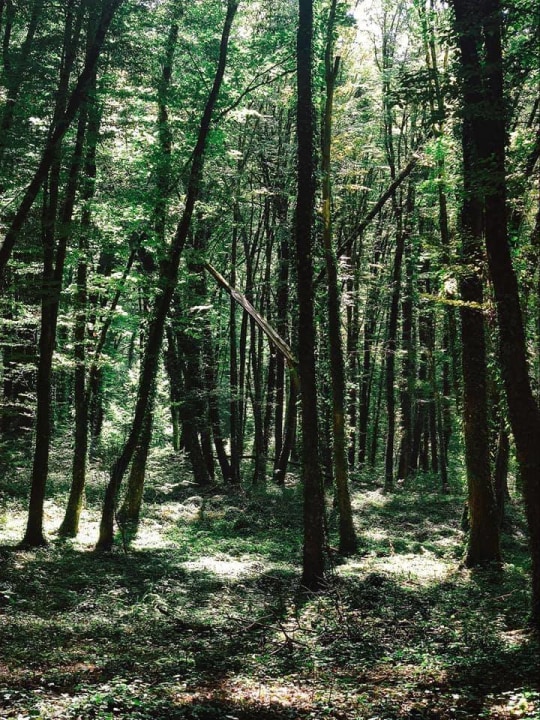 Lagodekhi National Park, Kochalo Hill, Black Rock Lake, Demidov Shelter