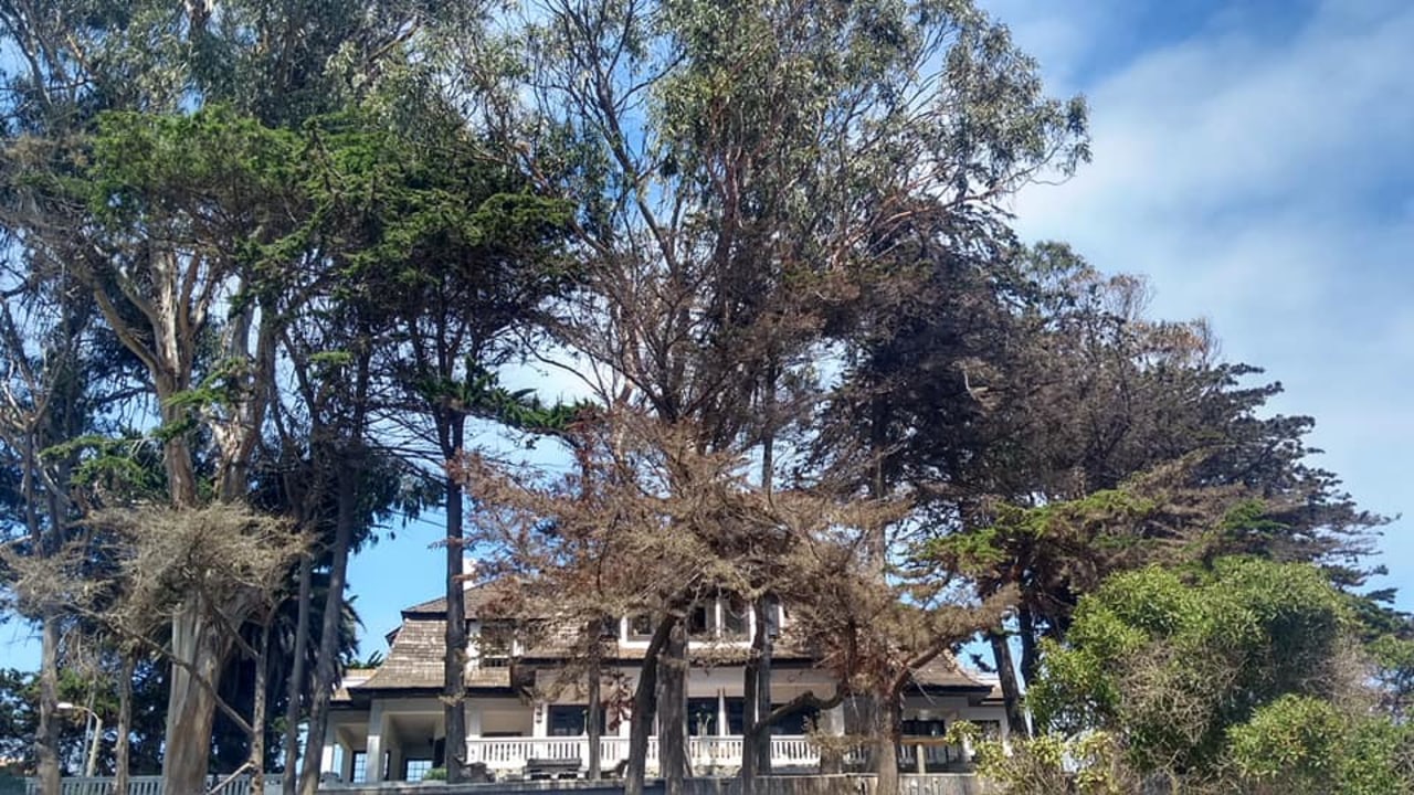 Quinta Vergara gardens, Palacio Vergara, Reñaca beach, Reloj de flores