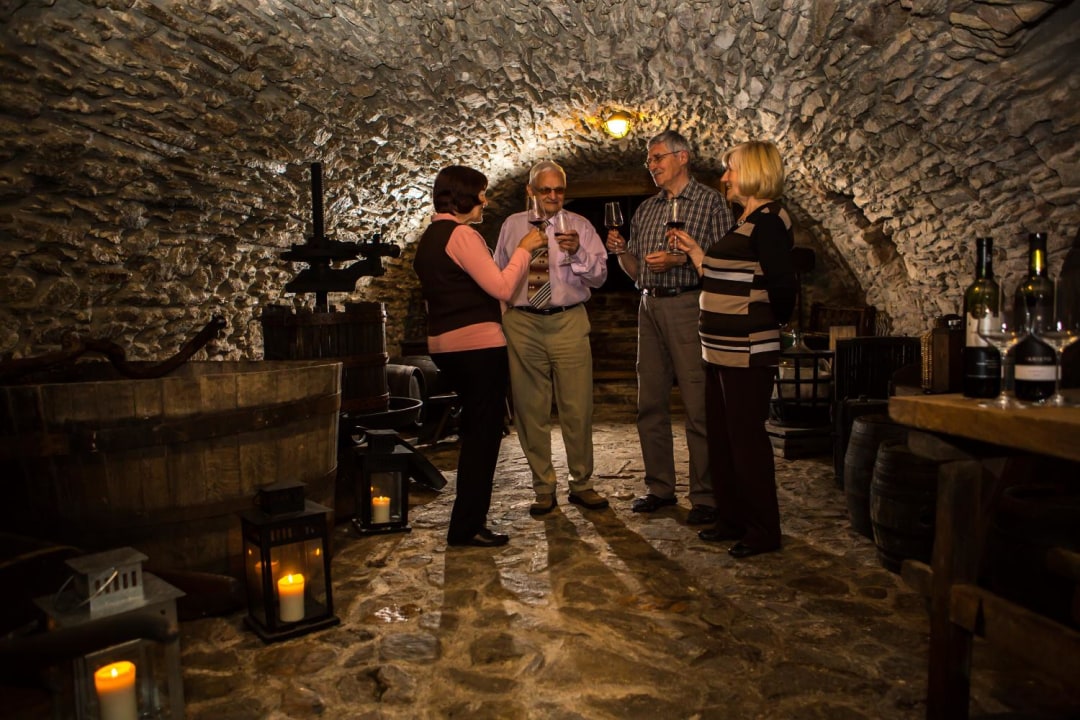 Red Stone Castle, Small Carpathians vineyards, Majolica pottery manufacture, Svaty Jur wine degustation