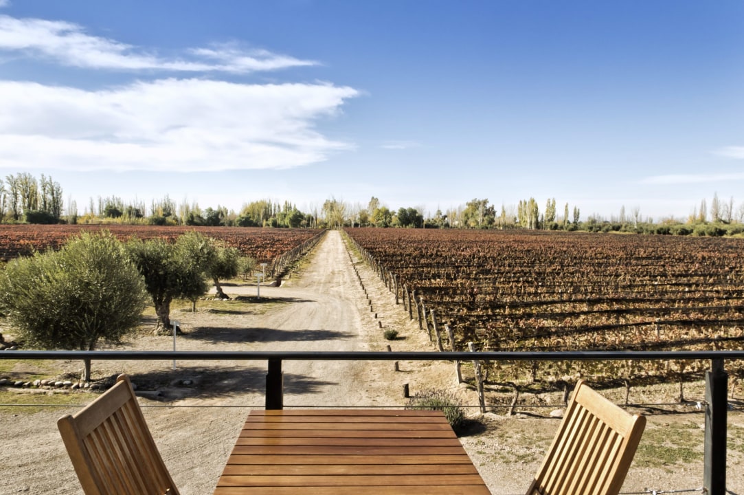 Vistandes Winery, Florio Winery, Pasrai Olivicola Boutique, Carrodilla Church