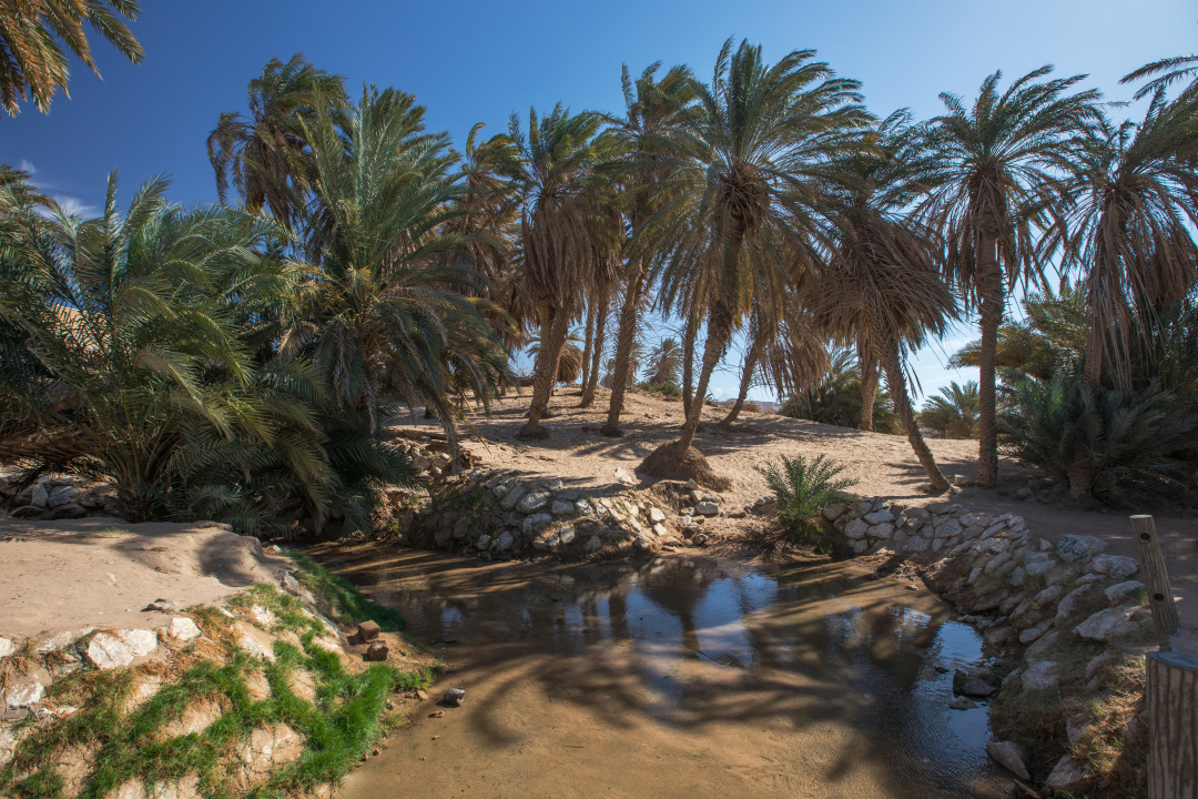 Ship Mountain (Jabal Safina), 12 Springs of Prophet Moses, Moses Well, Split Rock of Moses